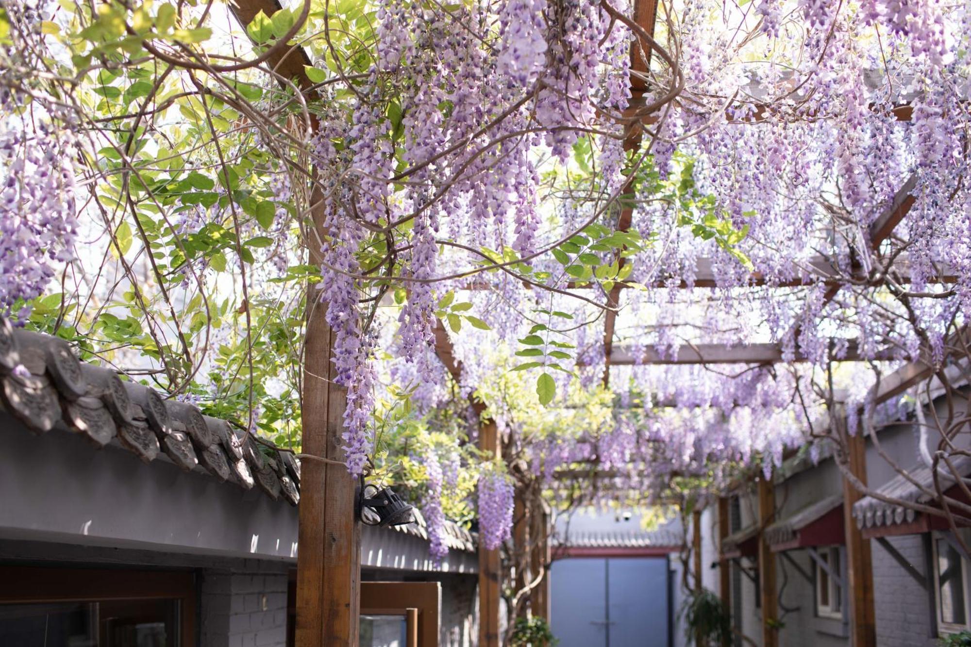 Guipu Beihai Courtyard Hotel Peking Exterior foto
